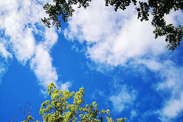 逐“綠”而行，迎“藍”而上—常熟聚焦VOCs治理全力攻堅臭氧難題