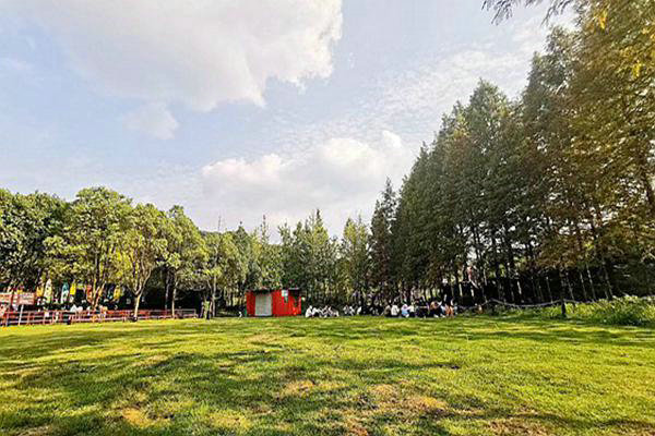 西安：5月1日至9月30日將開展臭氧污染管控