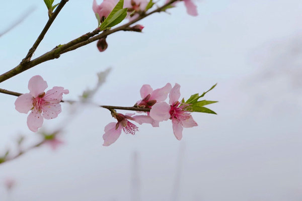 助企精準(zhǔn)治污降本增效，蘇州首個(gè)“炭管家”智慧平臺(tái)全面推廣